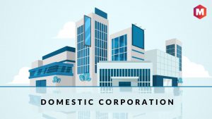Domestic Corporation