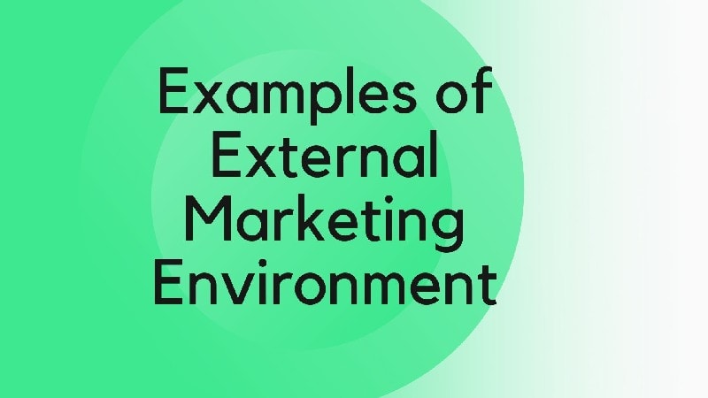 Examples of external marketing environment