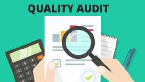 What is Quality Audit